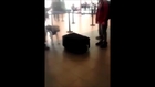 Airport Dog Catches Man inside a Suitcase