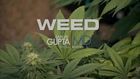 WEED: A CNN Special Report by Dr. Sanjay Gupta (2013 Documentary in HD)