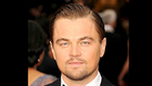 Leonardo DiCaprio Gains Weight - Can You Fat Shame A Man?