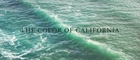 The Color of California