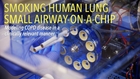 Smoking Human Lung Small Airway–on–a–Chip