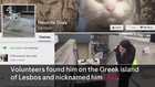 Iraqi refugee family reunited with their cat