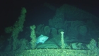 (HD RAW VIDEO) First Look At Recently Discovered Shipwreck Off North Carolina