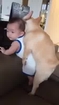 Baby Attacked By Family Pet While Mother Laughs