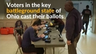 Voters in key battleground state vote in US election