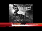 Ep. 72 - Andy Biersack of Black Veil Brides (November 2014)