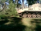 Armored vehicle vs tree