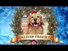 Sullivan The Therapy Dog Makes Christmas Movie With Inclusion Films