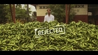 Just Eat It - A food waste story (Trailer)