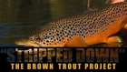 Stripped Down - The Brown Trout Project - Trailer