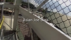 VidBlog 017: Asian Joe Dies