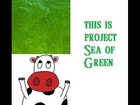 LOZ: The Wind Waker Project #SeaOfGreen Part 16 / GOOOOOOOAAALLL!