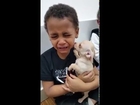 Little Boy Cries over Cute Puppy