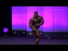 Roelly Winklaar free poses routine at Arnold Classic Europe 2014. Bodybuiling IFBB Pro.