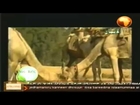 Islamic Nasheed by Nasru Keder from AFRICA TV CHANNEL PRODUCTION