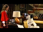 Dog With a Blog Season 2 Episode 8  -  Lost in Stanslation  - Full Episode HDTV