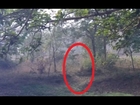 Ghostly figure caught in forest cemetery! GHOST APPARITION The question now is where did it go?