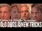 Old Dogs & New Tricks 3.8 'Homo for the Holidays'