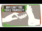Why can't you tickle yourself?