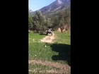 Can am ds 450 x mx jumps