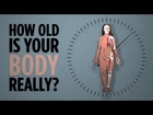 How Old Is Your Body, Really?