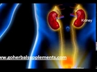 Treatment for Urinary Tract Infection by Herbal Health