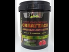 CREATTACK Xplode nutrition review