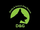 Darby & Gracy's Dog Rescue - Saving Sierrabelle