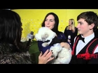 Dog of the Year, Hank at the World Dog Awards on The CW Green Carpet #CelebrityDogs #DogTales
