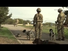 Military Dogs and Handlers Ready for Afghanistan 12.03.14