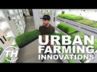 Top 4 City Gardening Solutions | Urban Farming Innovations