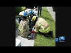 Dogs rescued from Norfolk house fire