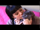 Famous Celebrities & Cute Rescued Animals- Funny, Popular Twitter Videos