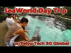 GoPro: SeaWorld Orlando day trip with footage recorded using Feiyu-Tech G3 3 Axis Handheld Gimbal
