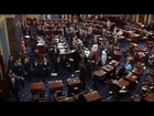 Protesters Shower Dollar Bills on Senate