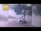 Surveillance camera captures man chopping down tree to steal bike