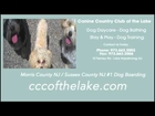 Morris County NJ Dog Sitter