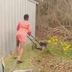 Cutting the lawn,N Da hood.