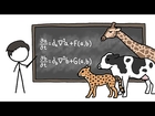 Can Math Explain How Animals Get Their Patterns?