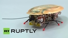 Russia: Engineers show off their new COCKROACH robot