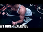 1 Bicep Exercise for BIGGER Peaks!