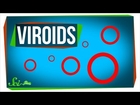 Viroids: Possibly the Smallest Pathogens on Earth