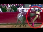 Raging Bull Inserts its Horn 11 INCHES up Bullfighter's Bum During Brutal Bout [VIDEO].