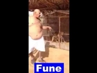 Top Funny Dog Dance Video - Most Funny Animals Dog Video