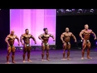 2nd Group Compulsory - Prejudging - Arnold Classic Europe 2014