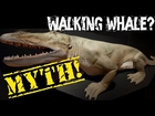 The Myth Of The Walking Whale | Today's Creation Moment