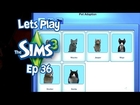Let's Play The sims 3 Ep36 Veronica gets a pet