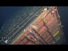 Lost at sea: Ecological assessment around a sunken shipping container