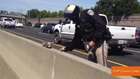 Photo of Officer Rescuing Chihuahua from Highway Goes Viral