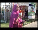 Living Life With Sajida Part 2  National Mashroom Festival Pakistan (Flower Show)